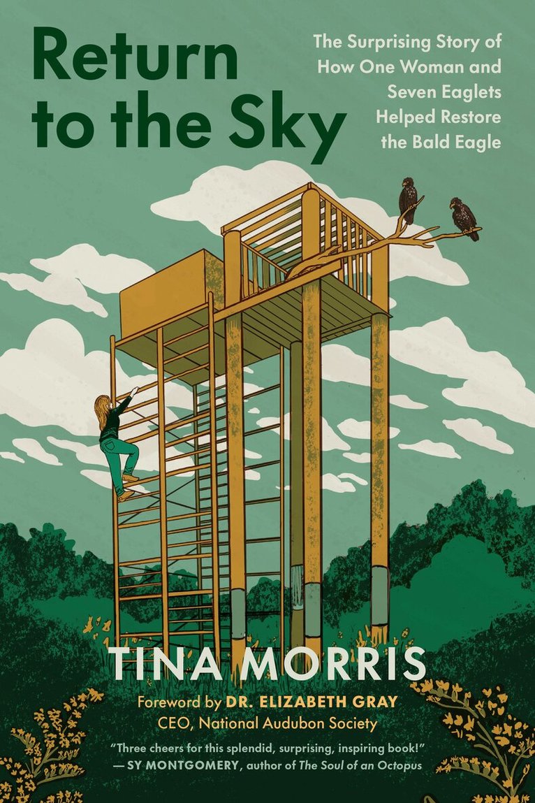 Tina Morris, Elizabeth Gray - Return to the Sky, Häftad