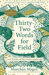 bokomslag Thirty-Two Words for Field: Lost Words of the Irish Landscape