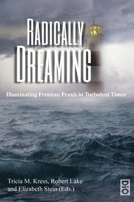 Tricia M Kress, Robert Lake, Elizabeth Stein - Radically Dreaming, Häftad