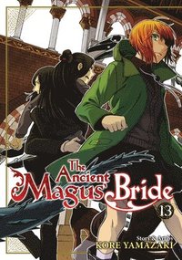 bokomslag Ancient Magus' Bride Vol. 13