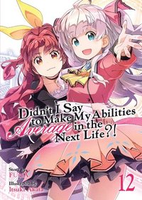 bokomslag Didn't I Say to Make My Abilities Average in the Next Life?! (Light Novel) Vol. 12