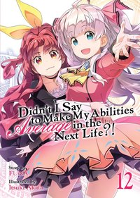 bokomslag Didn't I Say to Make My Abilities Average in the Next Life?! (Light Novel) Vol. 12