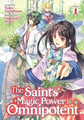 bokomslag The Saint's Magic Power is Omnipotent (Light Novel) Vol. 1