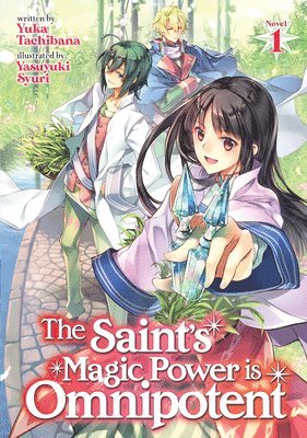 Yuka Tachibana - Saint's Magic Power is Omnipotent (Light Novel) Vol. 1, Häftad