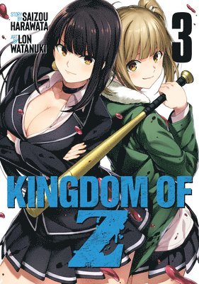 bokomslag Kingdom of Z Vol. 3