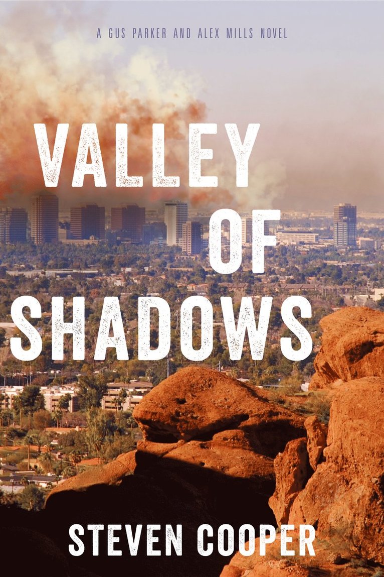 Steven Cooper - Valley of Shadows, Häftad