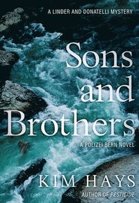 bokomslag Sons & Brothers