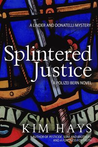 bokomslag Splintered Justice