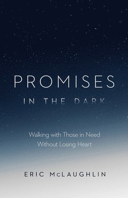 bokomslag Promises in the Dark