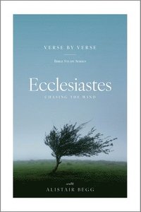 bokomslag Ecclesiastes: Chasing the Wind
