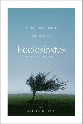 bokomslag Ecclesiastes: Chasing the Wind