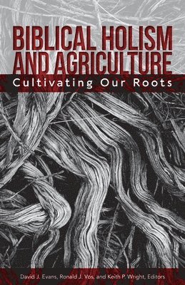 David J Evans, Ronald J Vos, Keith P Wright - Biblical Holism and Agriculture (Revised Edition), Häftad