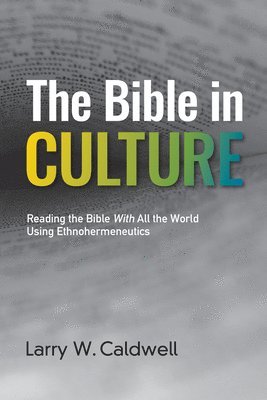 bokomslag The Bible in Culture: Reading the Bible with All the World Using Ethnohermeneutics