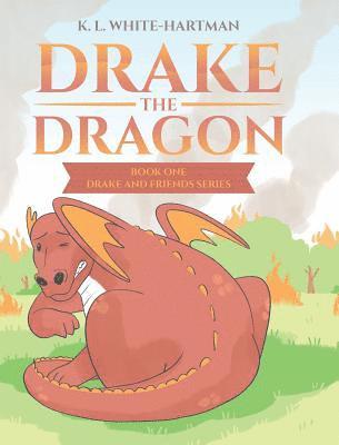 bokomslag Drake the Dragon