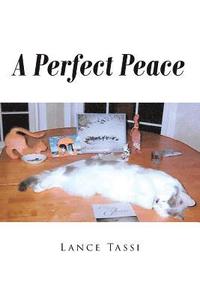 bokomslag A Perfect Peace
