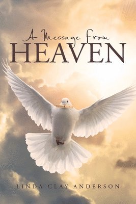 bokomslag Message from Heaven