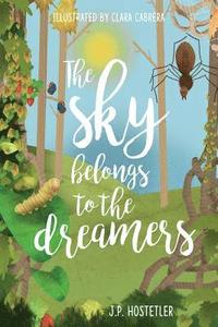 bokomslag Sky Belongs to the Dreamers