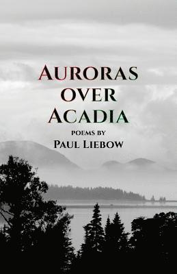 Auroras Over Acadia 1