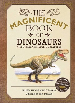 The Magnificent Book of Dinosaurs 1