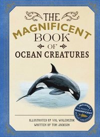 bokomslag The Magnificent Book of Ocean Creatures