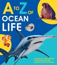 bokomslag A to Z of Ocean Life