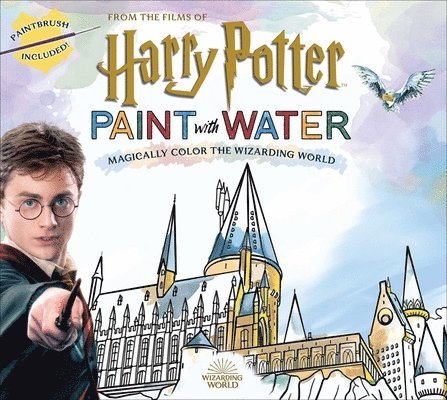 Harry Potter Paint with Water 1