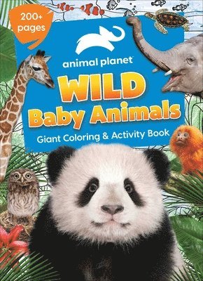 Animal Planet: Wild Baby Animals Coloring Book