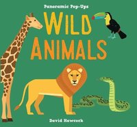 bokomslag Panoramic Pop-Ups: Wild Animals