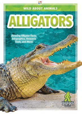 bokomslag Alligators