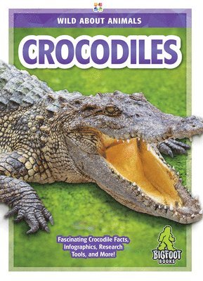 bokomslag Crocodiles