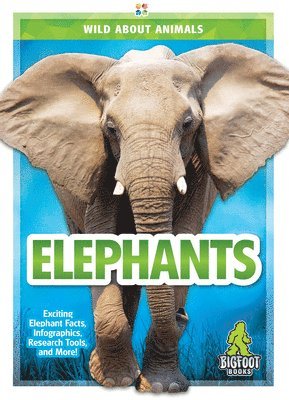 bokomslag Elephants