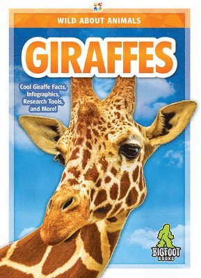 bokomslag Giraffes