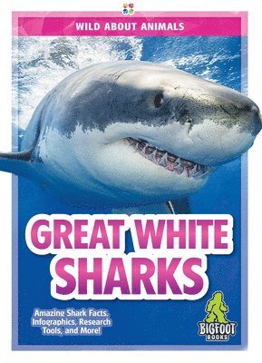 Great White Sharks 1