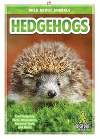 bokomslag Hedgehogs