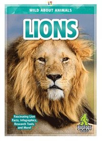bokomslag Lions