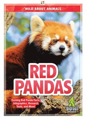 Red Pandas 1