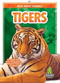 bokomslag Tigers