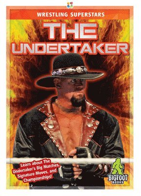 bokomslag Undertaker
