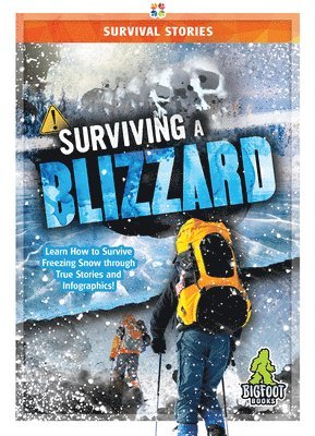 Vicki C. Hayes - Surviving a Blizzard, Inbunden