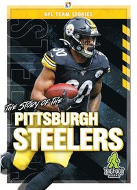 bokomslag The Story of the Pittsburgh Steeler