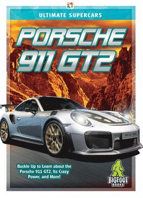 Porsche 911 GT2 1