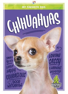 Diane Bailey - Chihuahuas, Inbunden