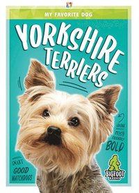 bokomslag Yorkshire Terriers