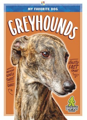 Colton Temple - Greyhounds, Inbunden