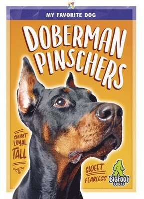 Colton Temple - Doberman Pinschers, Inbunden