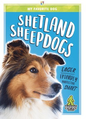 Rhonda E. Nichols - Shetland Sheepdogs, Inbunden