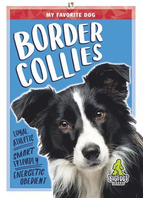 Renata Marie - Border Collies, Inbunden