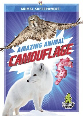 Renata Marie - Amazing Animal Camouflage, Inbunden