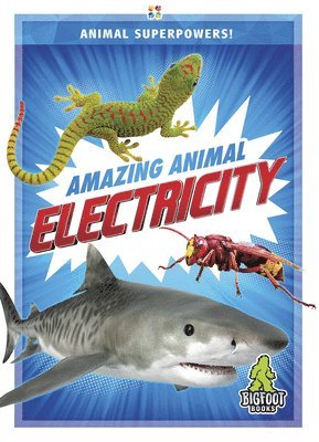 Colton Temple - Amazing Animal Electricity, Inbunden