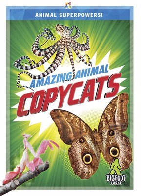 Rhonda E. Nichols - Amazing Animal Copycats, Inbunden